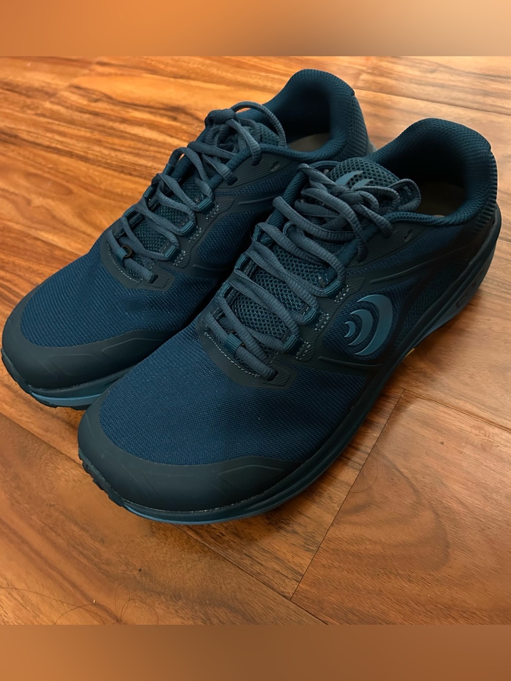 Women's Blue Terraventure 4 Athletic Shoes - Cushioned Support